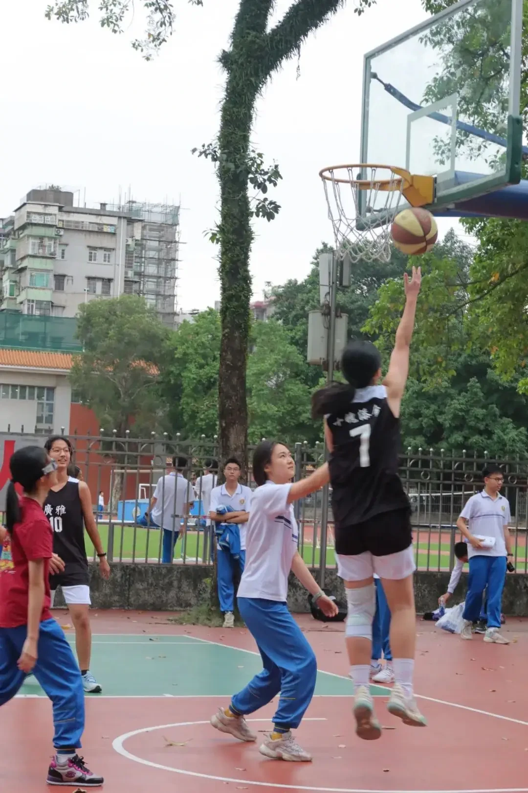 初中篮球战术一周训练计划_1